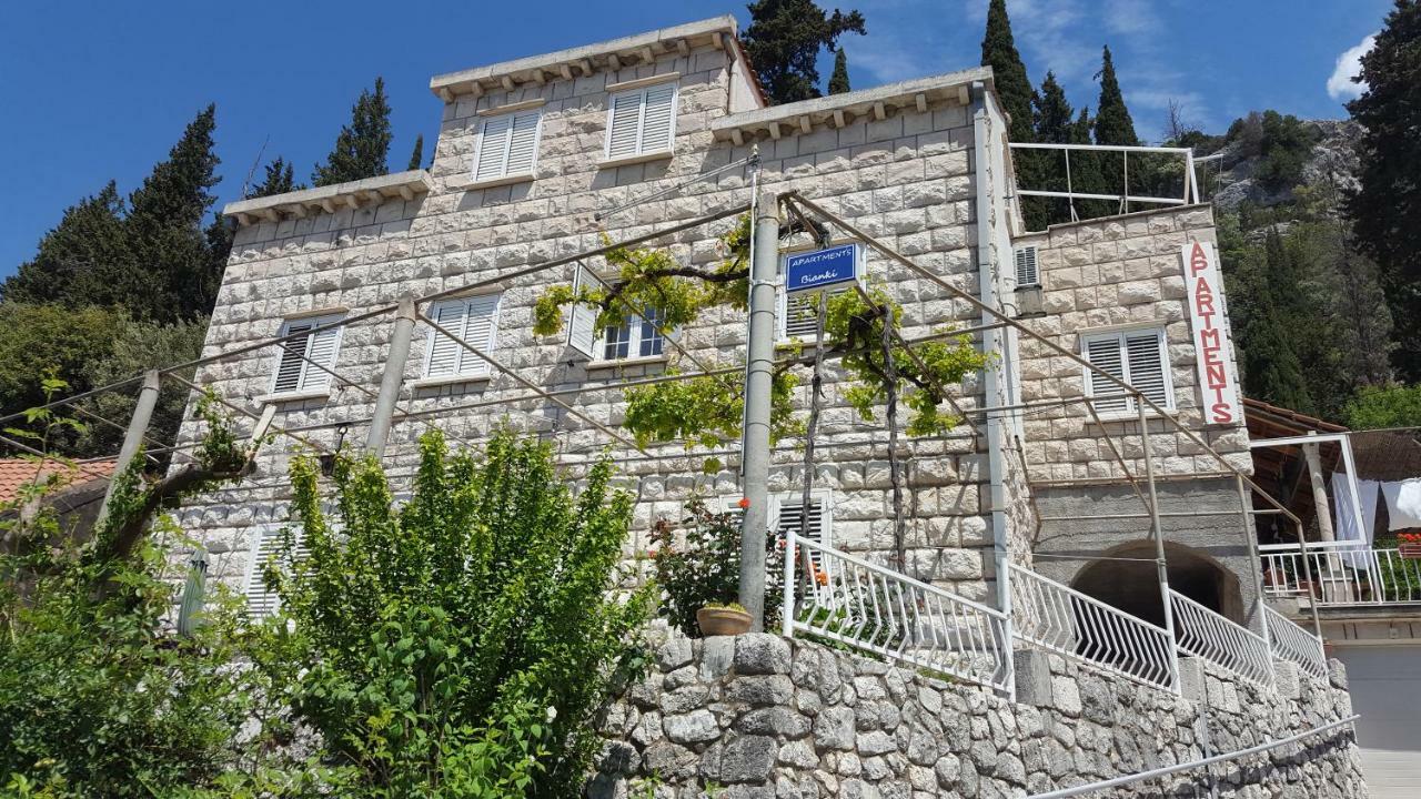 Apartment Bianki *